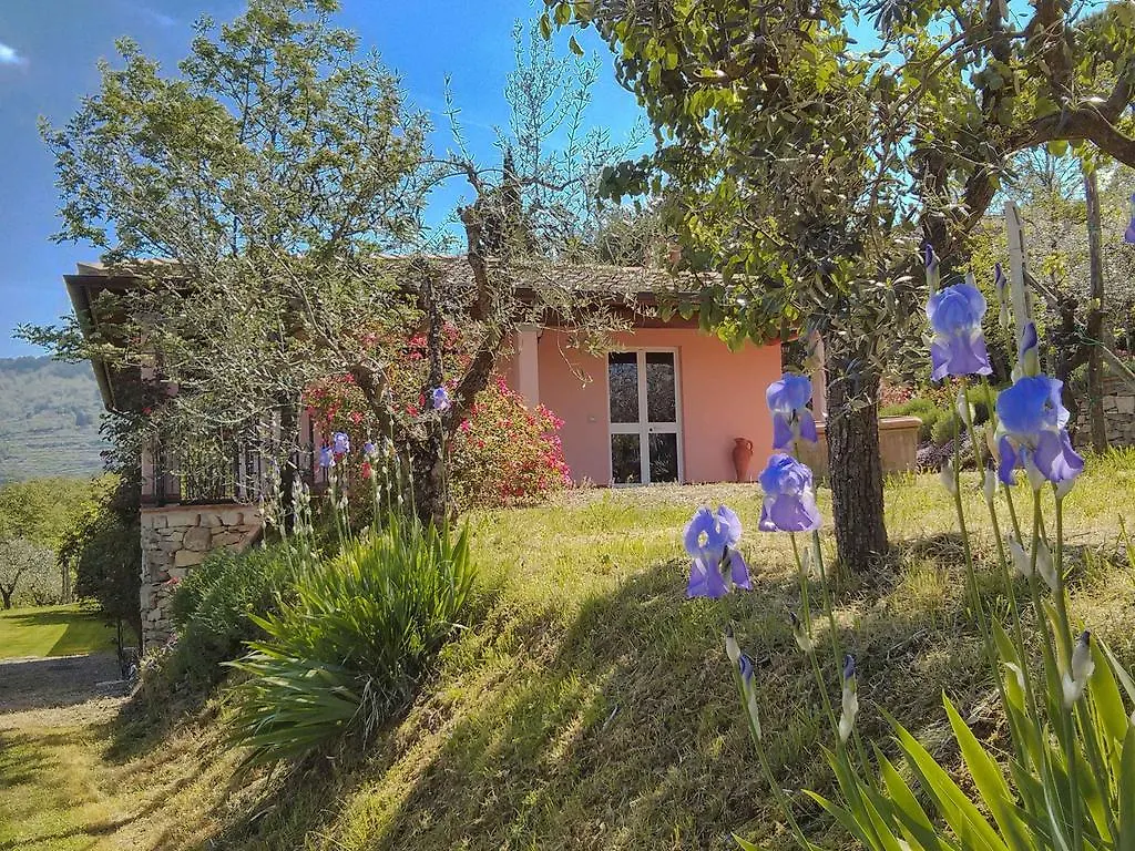 Tuscany Roses Arezzo Villa