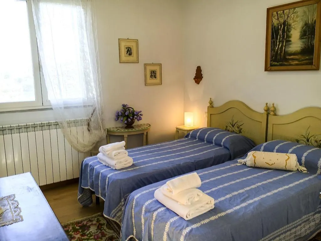 Tuscany Roses Arezzo 0*,