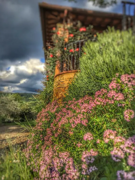 Tuscany Roses Arezzo Villa