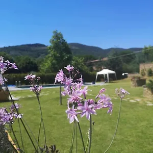 Alba Morus Sentiti A Casa Nel Cuo Bed and breakfast